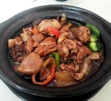 Premium Braised Chicken with Mushrooms