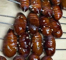 Roasted Silkworm Pupa