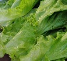Lettuce