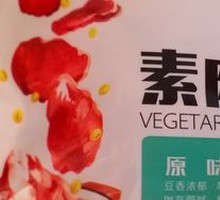 Vegetarian Meat Slices