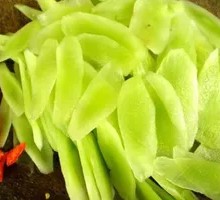 Lettuce