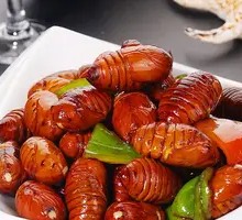 Silkworm pupae