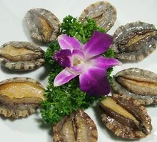 Abalone