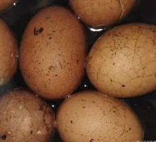 Tea-Infused Eggs