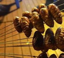 Silkworm pupae