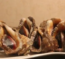 Salted Sea Conch