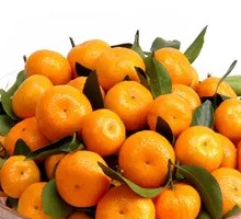 Sugar Orange