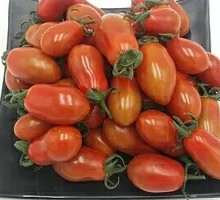 Peanut Persimmon