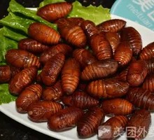 Aluminum Foil Silkworm Pupae