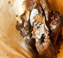 Fried Duck Frame