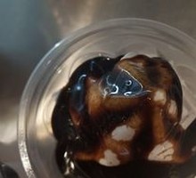 Chocolate Sundae