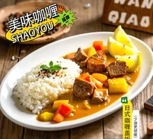 Rich Curry Sauce Beef Rice