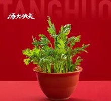 Chinese chrysanthemum greens