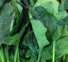 Spinach
