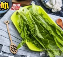 Oilseed lettuce