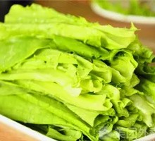 Oilseed lettuce