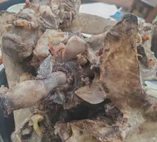 Beef Neck Bones