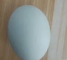 Salted duck egg