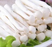 White Cloud Mushroom