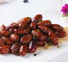 Aluminum Foil Silkworm Pupae