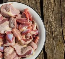 Chicken gizzard
