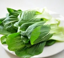 Oilseed lettuce