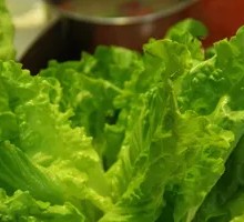 Lettuce
