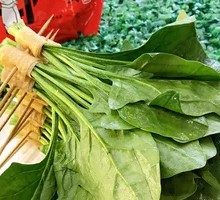 Spinach