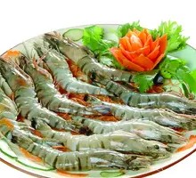 Large Green Shrimp