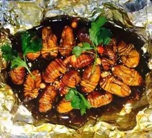 Aluminum Foil Silkworm Pupae