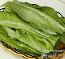 Oilseed lettuce