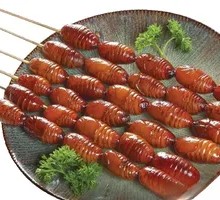Silkworm pupae