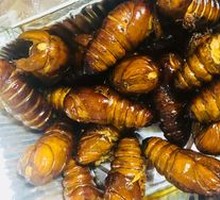 Aluminum Foil Silkworm Pupae