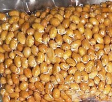 Soybean
