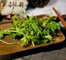 Cilantro