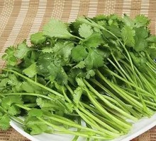 Cilantro