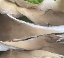 Crispy Fried Mushrooms