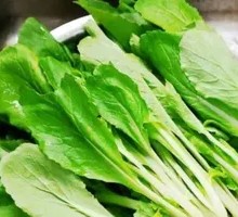 Chinese cabbage