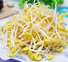 Jasmine Fragrant Bean Sprouts