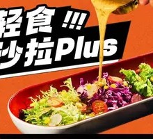 Light Salad Plus
