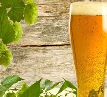Rich Yellow Beer