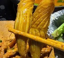 Rocket Squid