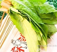 Oilseed lettuce