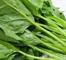 Spinach