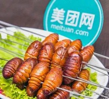 Silkworm pupae