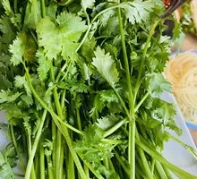 Organic Coriander