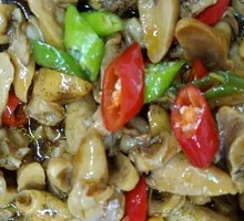Spicy Abalone and Snail