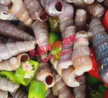 Spicy Razor Clams