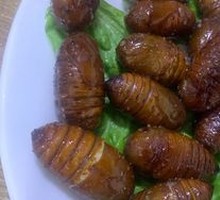 Roasted Silkworm Pupa