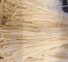 Enoki Mushroom